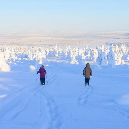 Daire Saerkijaerven Majat *