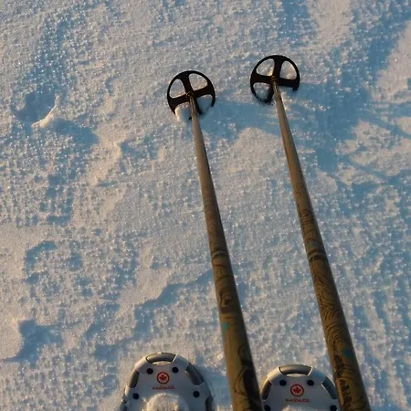 Saerkijaerven Majat Daire *