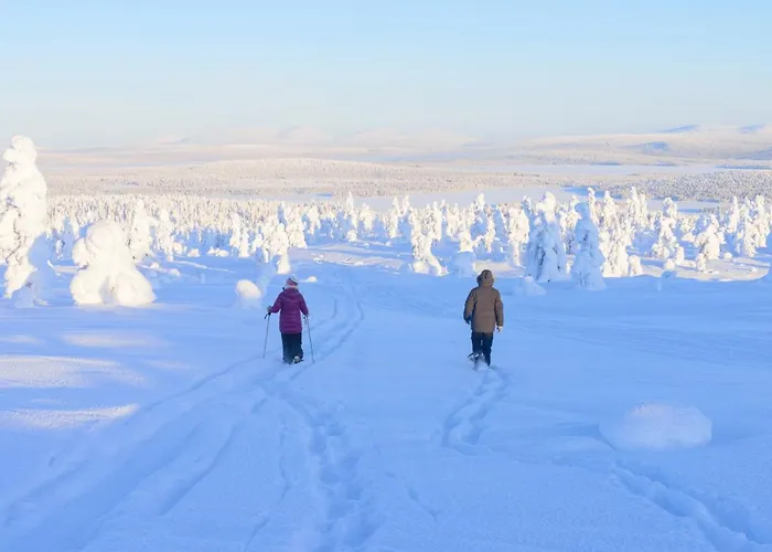 Apartamento Saerkijaerven Majat *